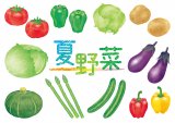 夏野菜